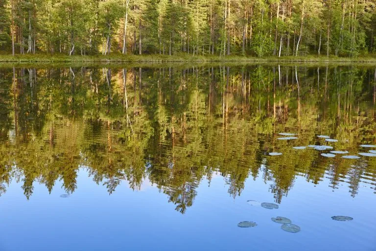 kotimaan uutiset